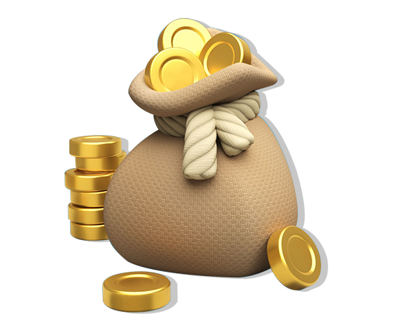A Bag of Coins