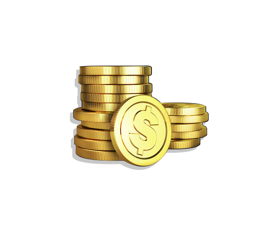 A Bag of Coins ($29.99)